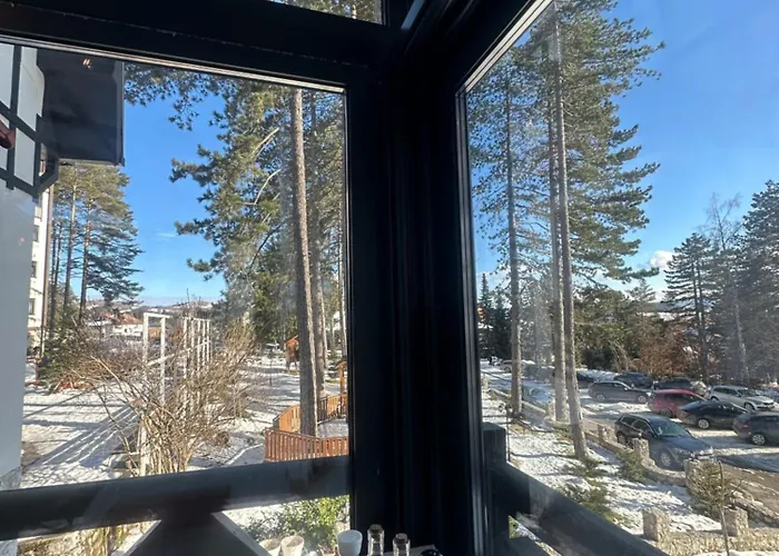 Emerald Mamba - Titova